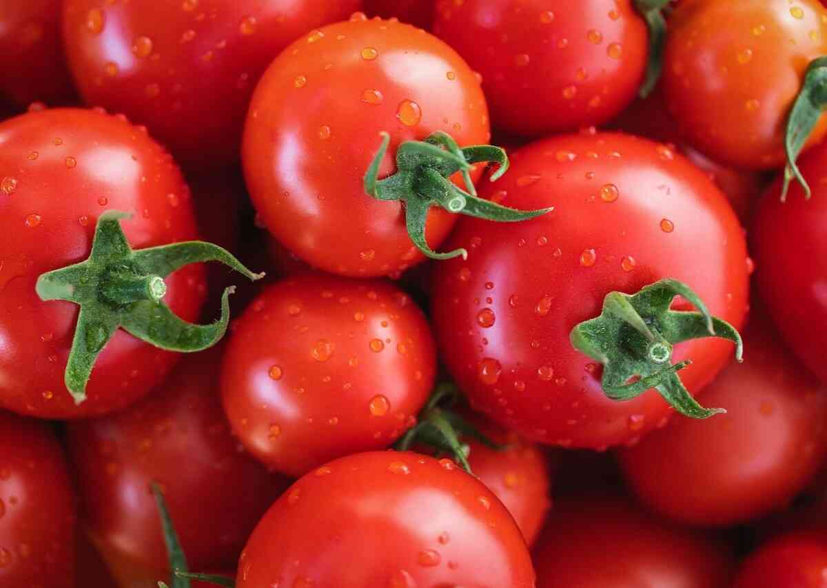 sennik pomidory